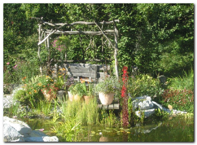 Pergola in vodni vrt