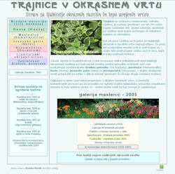 vrt web 2005
