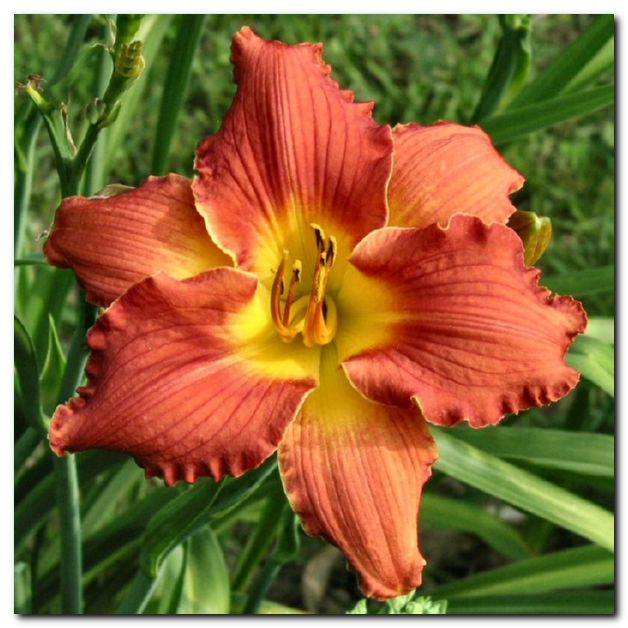 Juno182