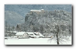 Kliknite za povečavo slike
